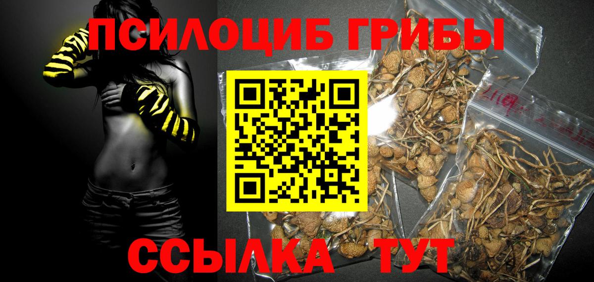 Псилоцибиновые грибы мухоморы  Вход с VPN  Галлюциногенные грибы мицелий  Амурск 